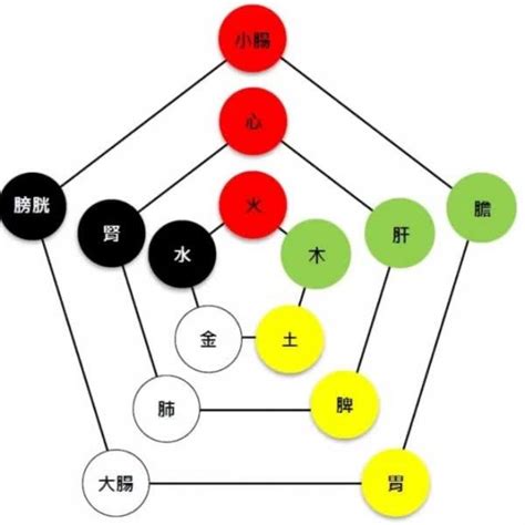 心肝脾肺腎金木水火土